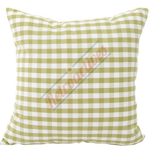 Small Checkered - White and Green Floor Pillow by