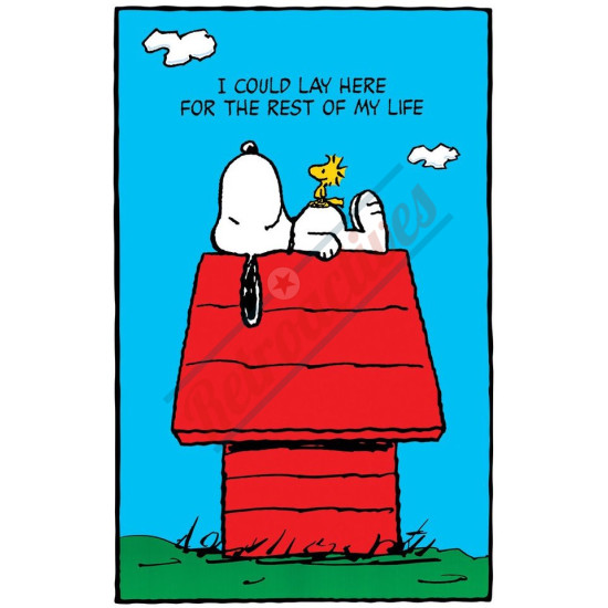 https://www.retroactives.com/image/cache/218/52633-snoopy-woodstock-550x550h.jpg